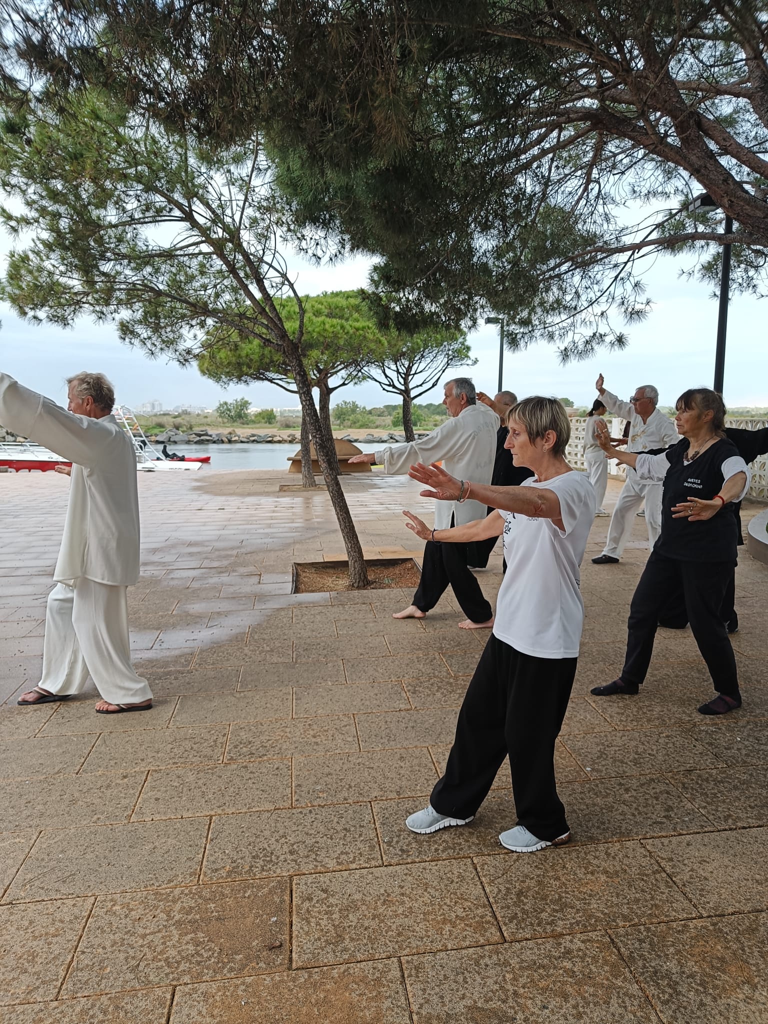 nos pratiquants et professeurs tai chi qi gong en stage en extérieur