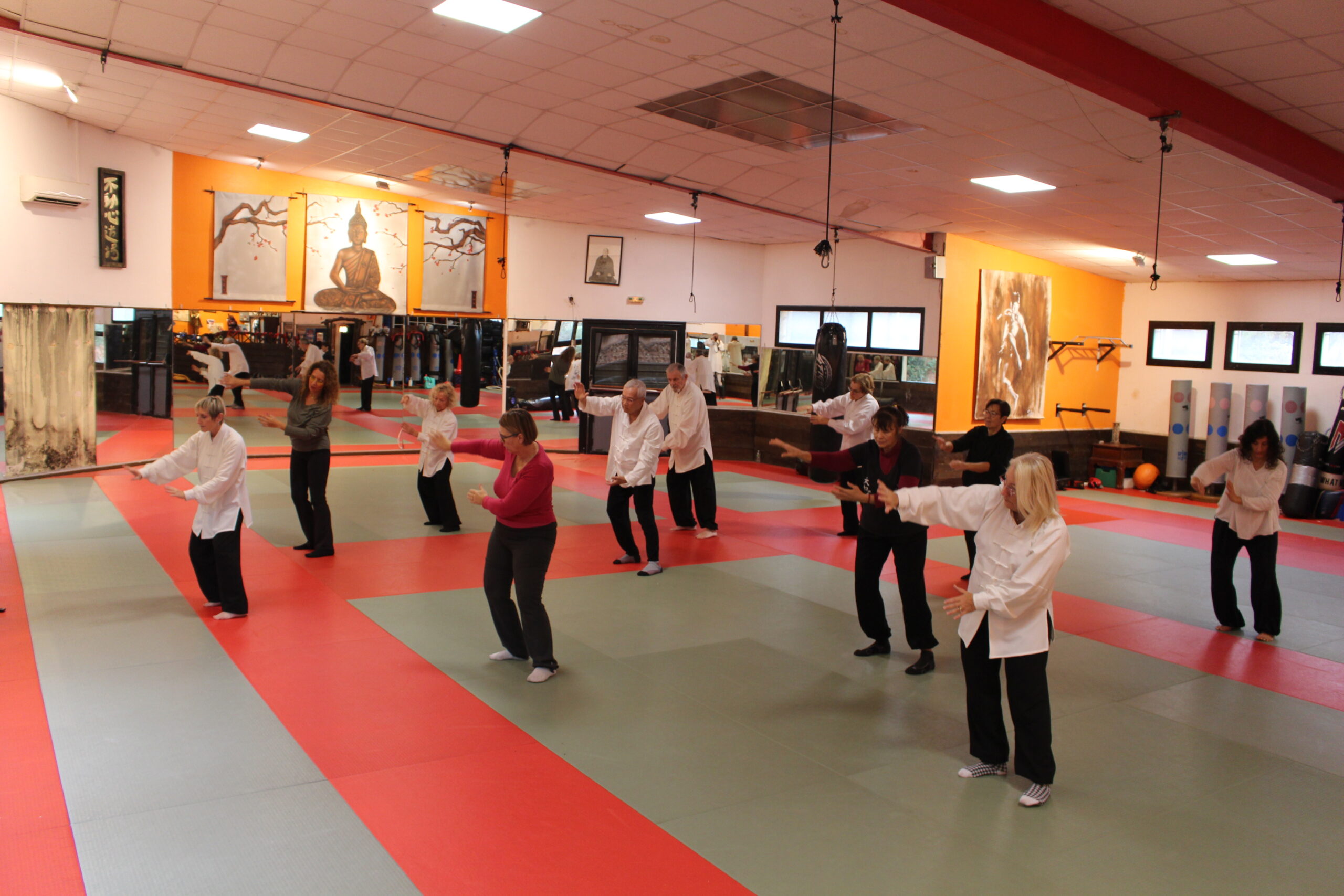 pratiquer le tai chi à Vitrolles