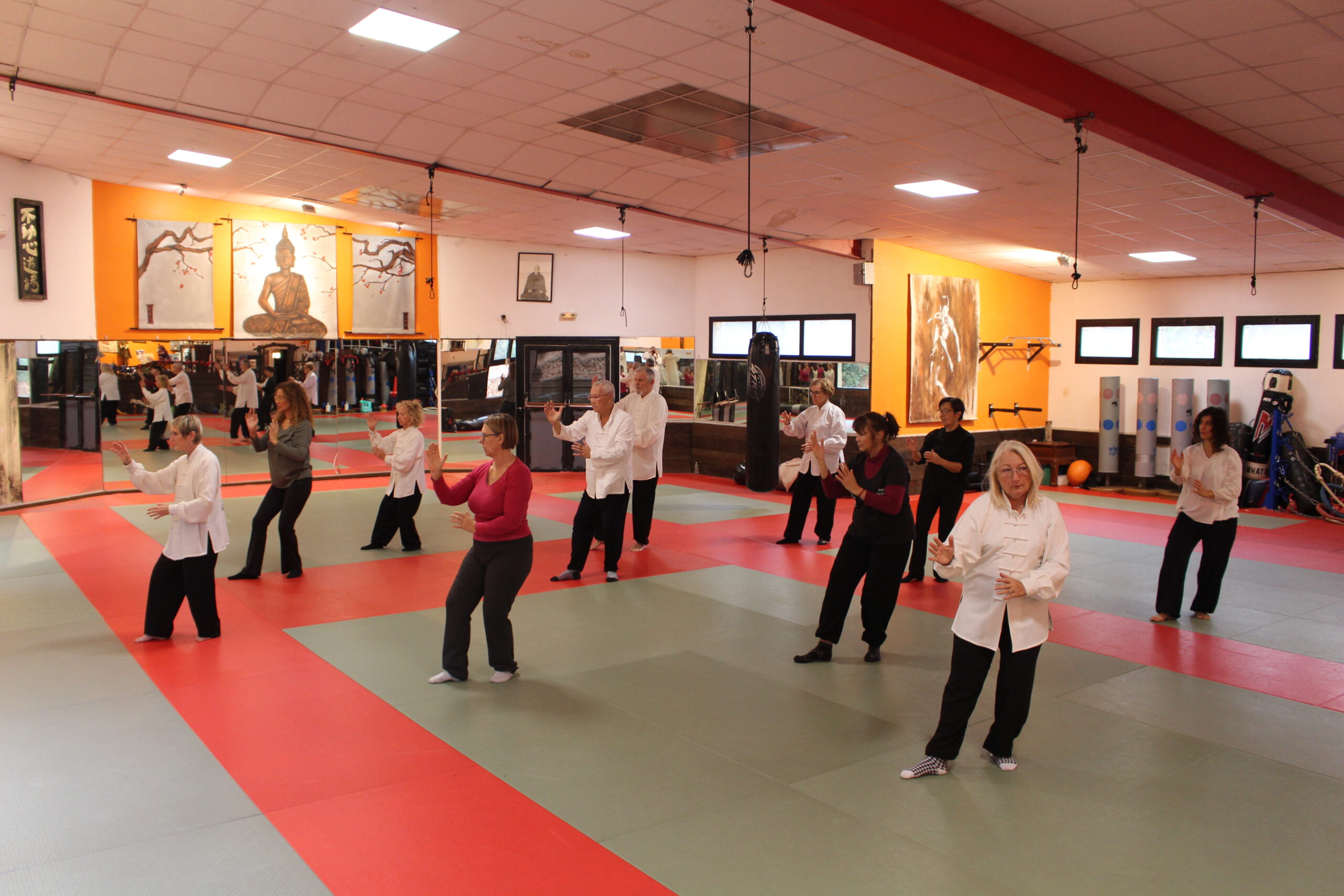 tai chi qi gong à fudo shin avec antonia bodeux