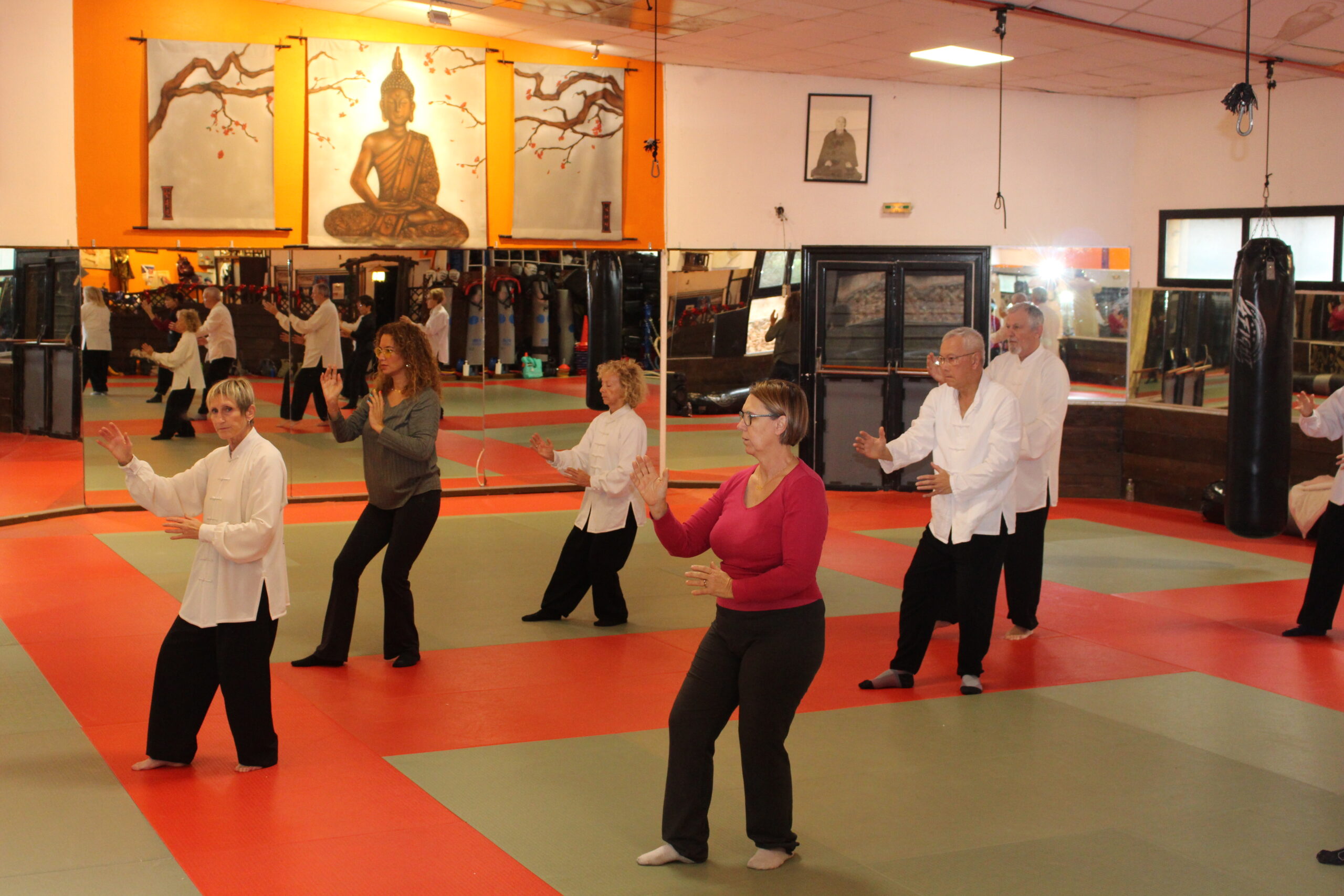 tai chi qi gong à vitrolles avec antonia bodeux